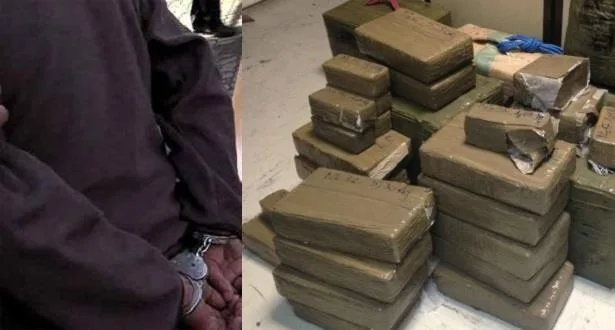 تنغير.. حجز 28 كيلوغراماً من الشيرا وتوقيف أربعة أشخاص ببومالن دادس